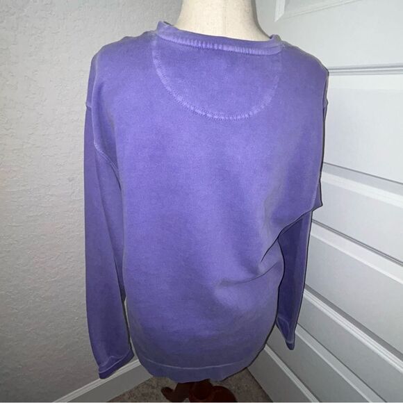 Comfort Colors Vikes Graphic Print Long Sleeve Oversized Sweatshirt - Picture 3 of 7